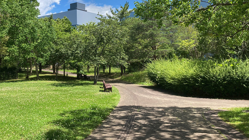 テクノ公園の園内